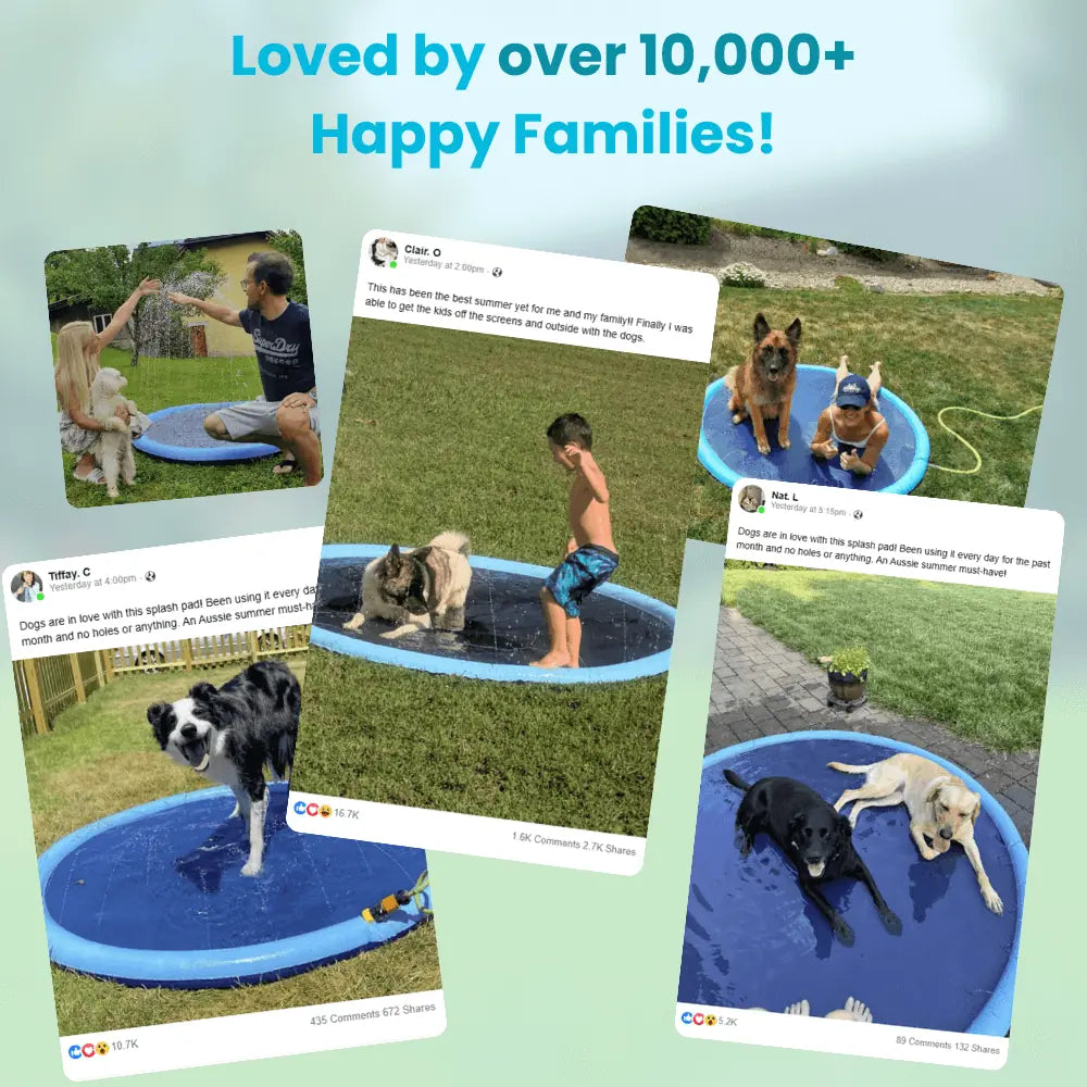 Dog Days™ Splash Pad